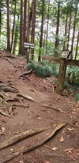 20190623_123855.jpg