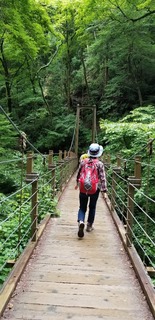 20190623_124926.jpg